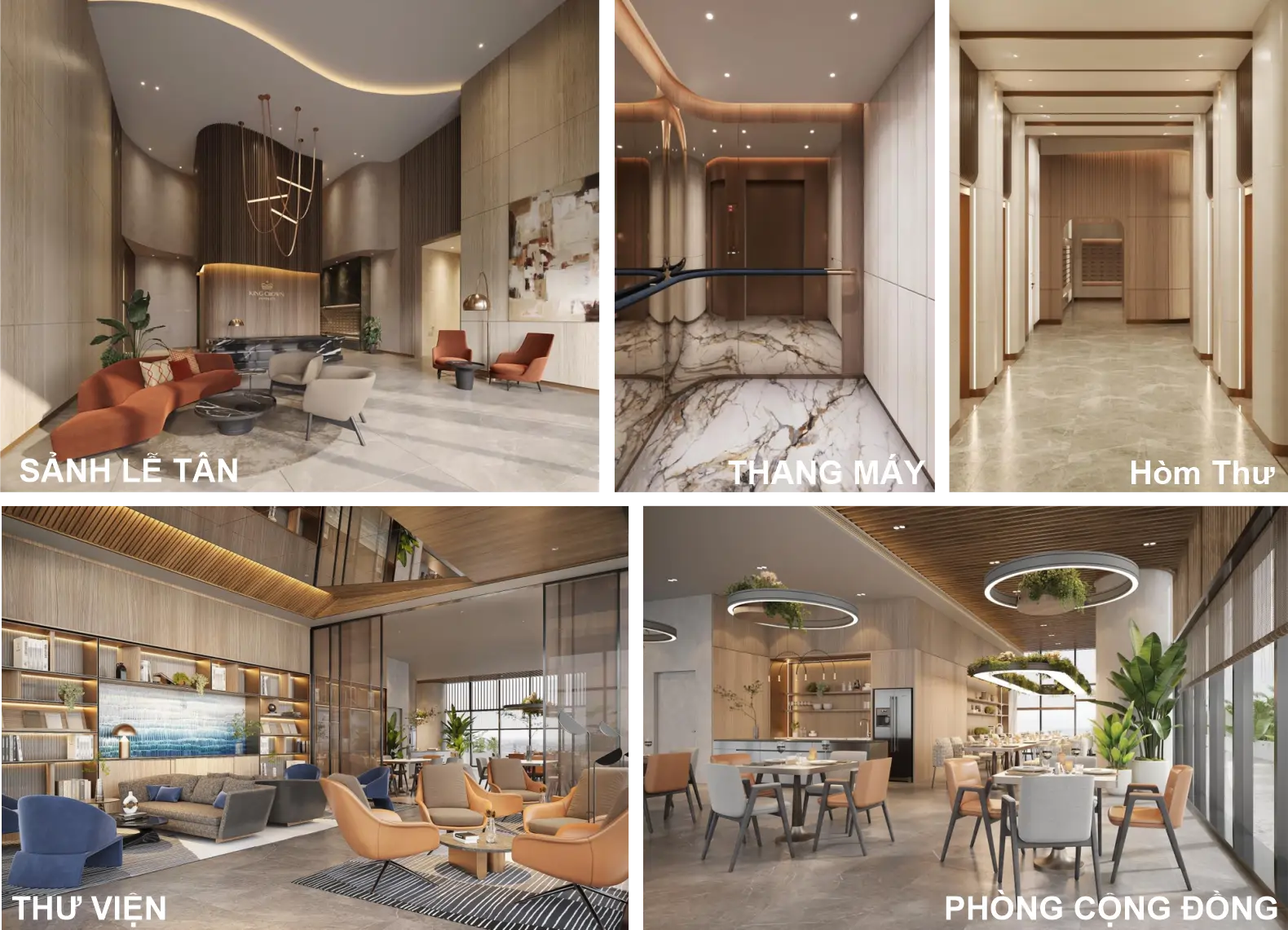tiện ích sảnh lễ tân , thang máy dự án king infinity ascott