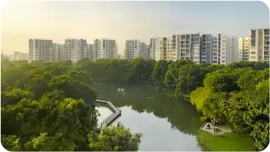 2011 celadon city
