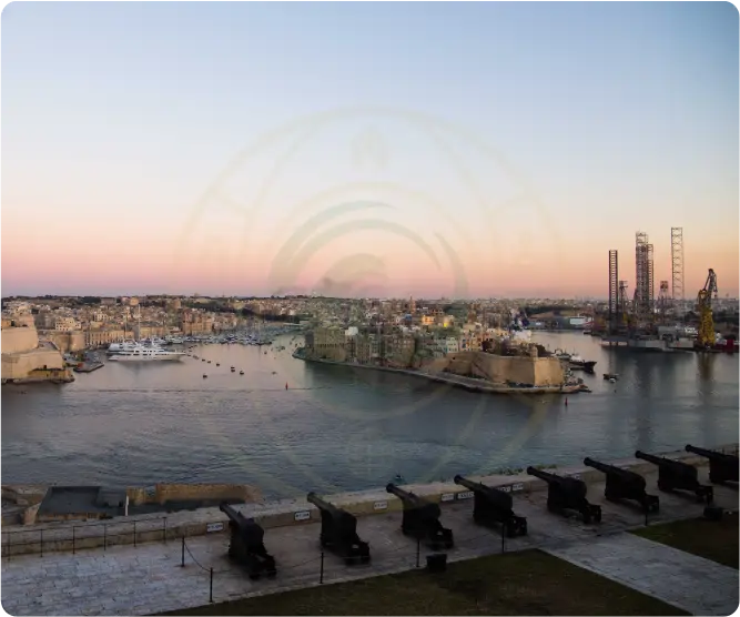 avatar kinh doanh tại malta