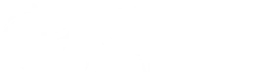 logo IQI LIS AS White